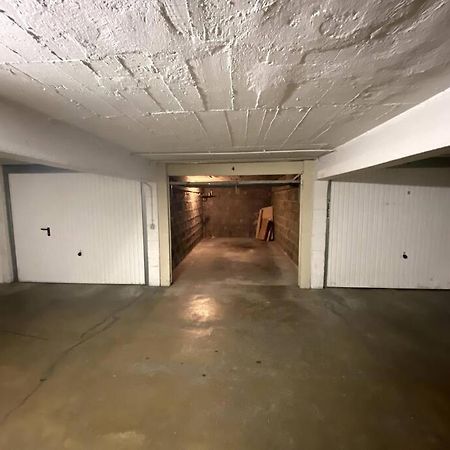 T3 De 73 M2 , Garage , Vue Montagnes Et Chateau آنسي المظهر الخارجي الصورة